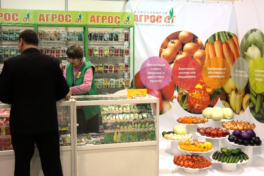 2013 ноябрь